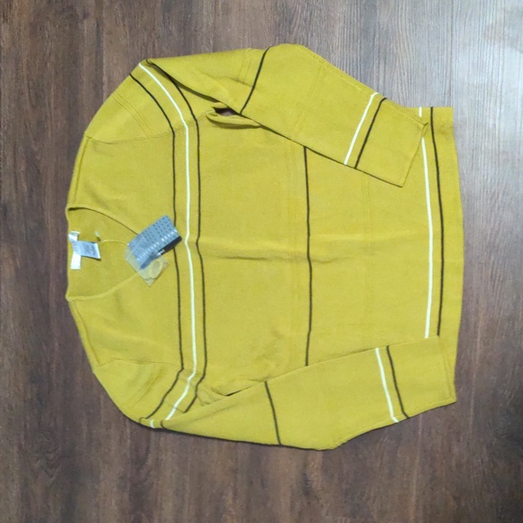 Geoffrey Beene woman's size XL Green Stripes V-Neck Sweater - Picture 2 of 5